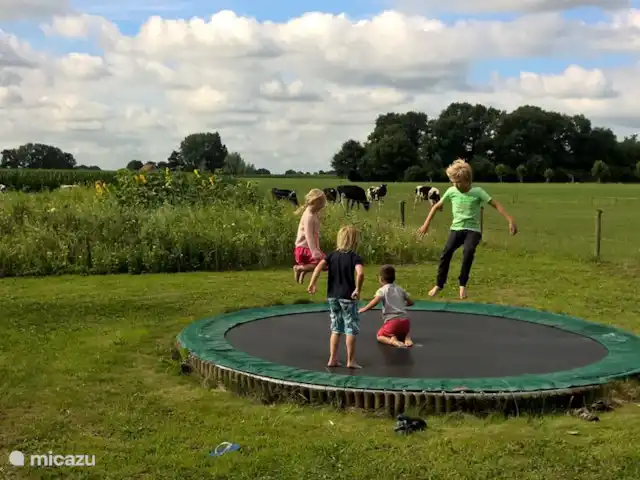 Trampoline, schommels, skelter, wip, klimtouwen. Er is genoeg te doen voor de kinderen.